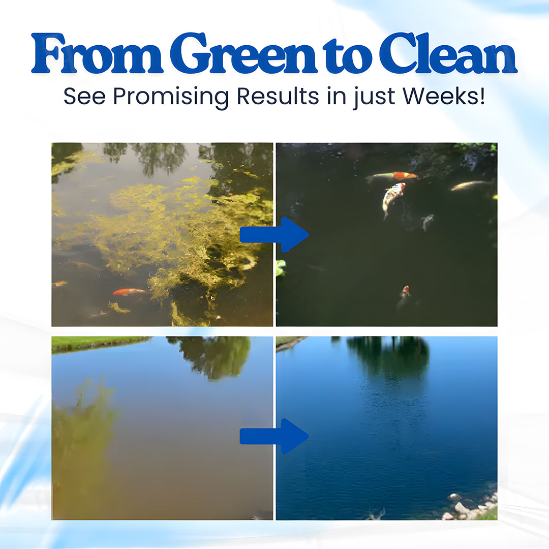 🌟 Official Store |🔥Hot Sale - 50% OFF🌿Seurico™ Aqua-Guardian Pro Formula