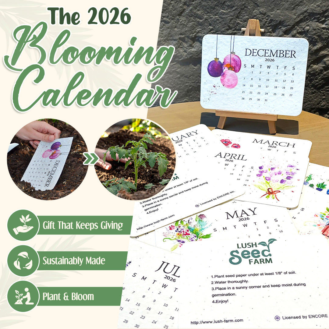 🌱 The 2026 Blooming Calendar — A Garden That Begins With Spring