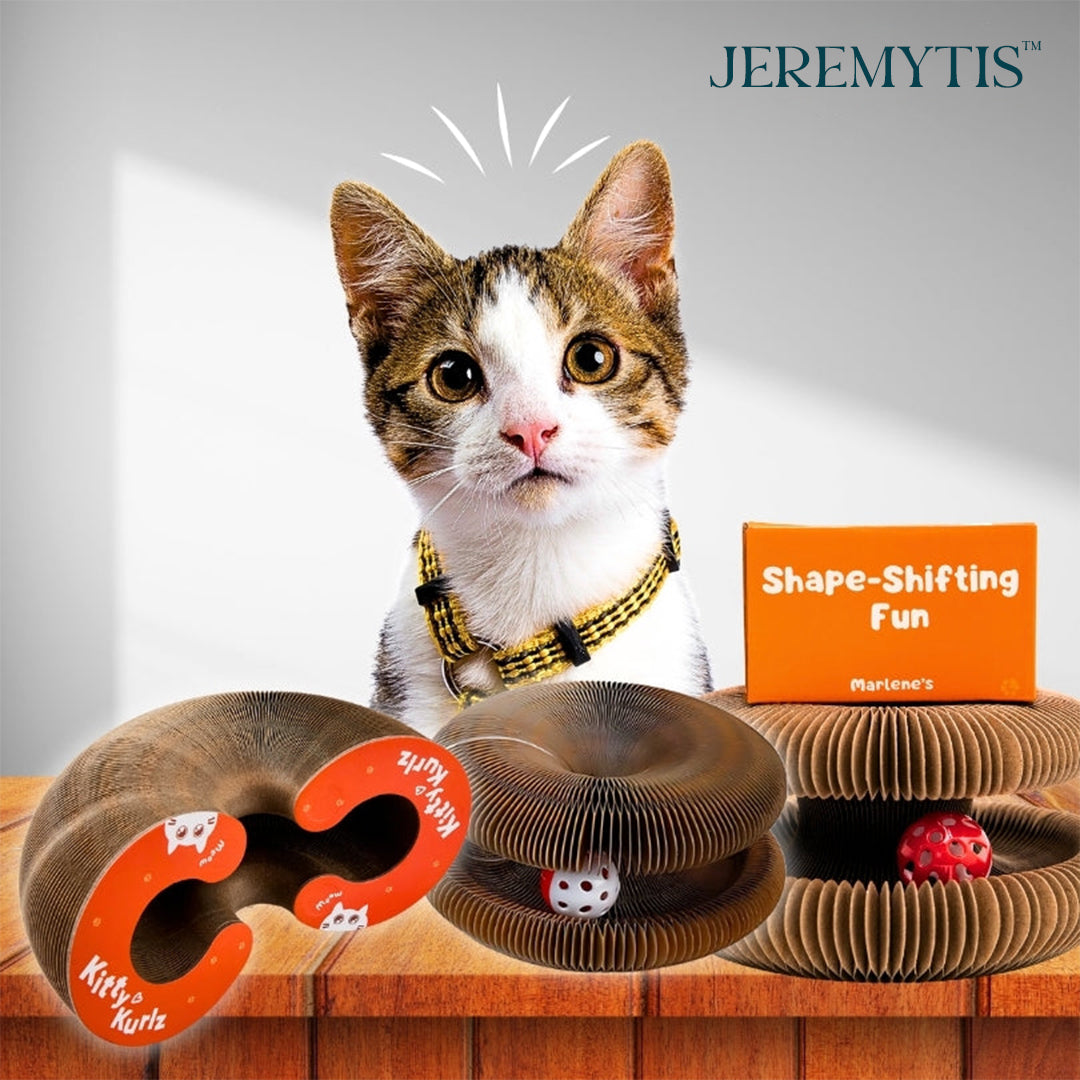 🐾 JEREMYTIS™ Telescopic Tunnel Cat Scratcher