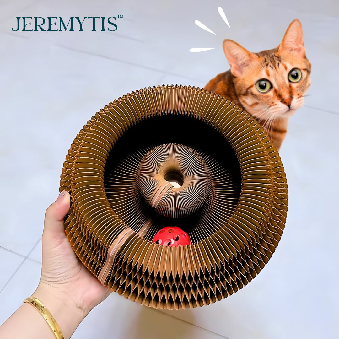 🐾 JEREMYTIS™ Telescopic Tunnel Cat Scratcher