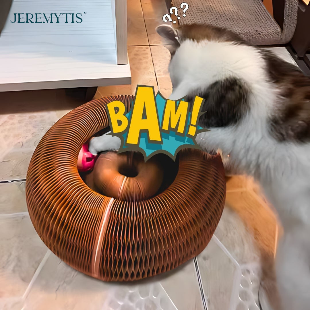 🐾 JEREMYTIS™ Telescopic Tunnel Cat Scratcher