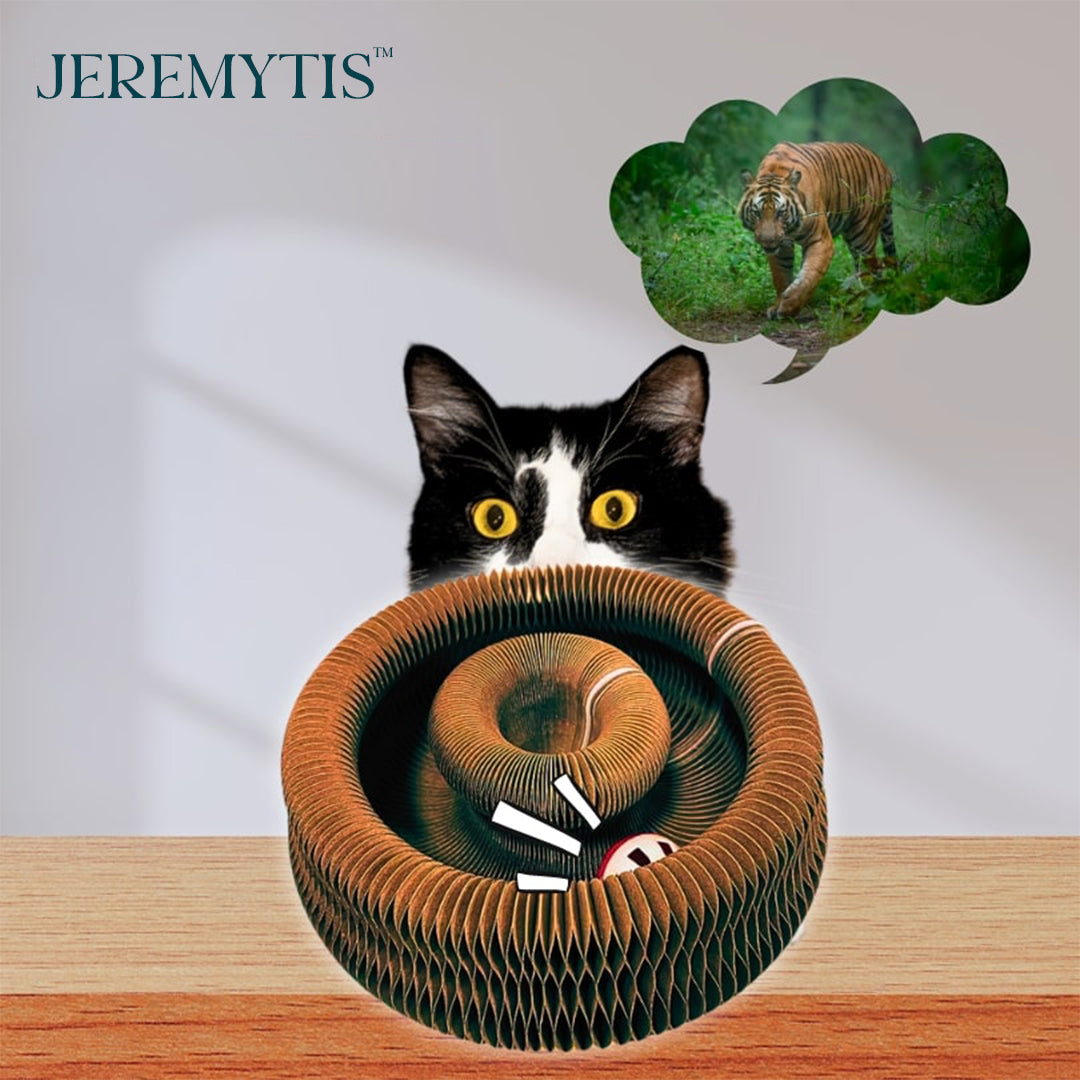 🐾 JEREMYTIS™ Telescopic Tunnel Cat Scratcher