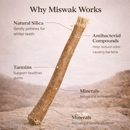 ✨ Miswak — Nature’s Original 7,000-Year-Old Toothbrush