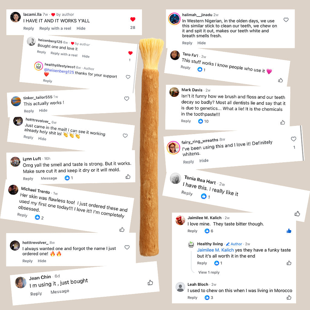 ✨ Miswak — Nature’s Original 7,000-Year-Old Toothbrush