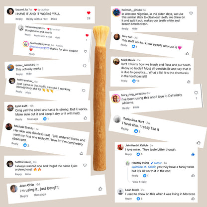 ✨ Miswak — Nature’s Original 7,000-Year-Old Toothbrush