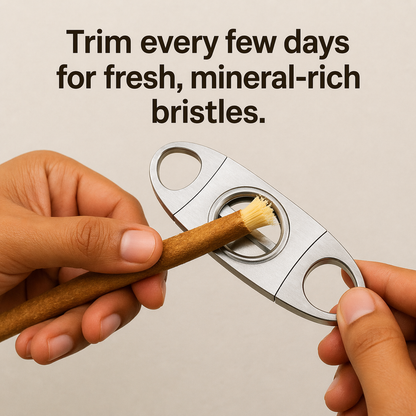 ✨ Miswak — Nature’s Original 7,000-Year-Old Toothbrush