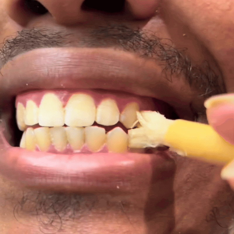 ✨ Miswak — Nature’s Original 7,000-Year-Old Toothbrush