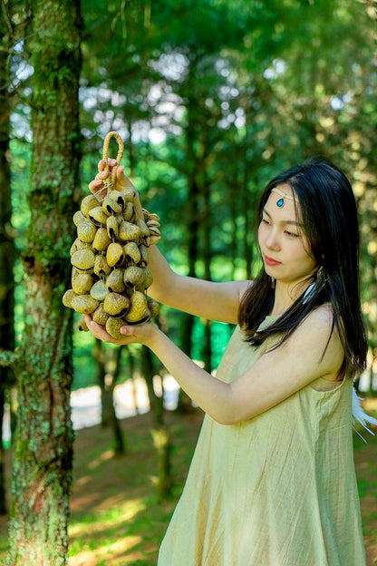 Pangi Breeze™ DIY Natural Shell Wind Chime Kit for Meditation & Relaxing Spaces